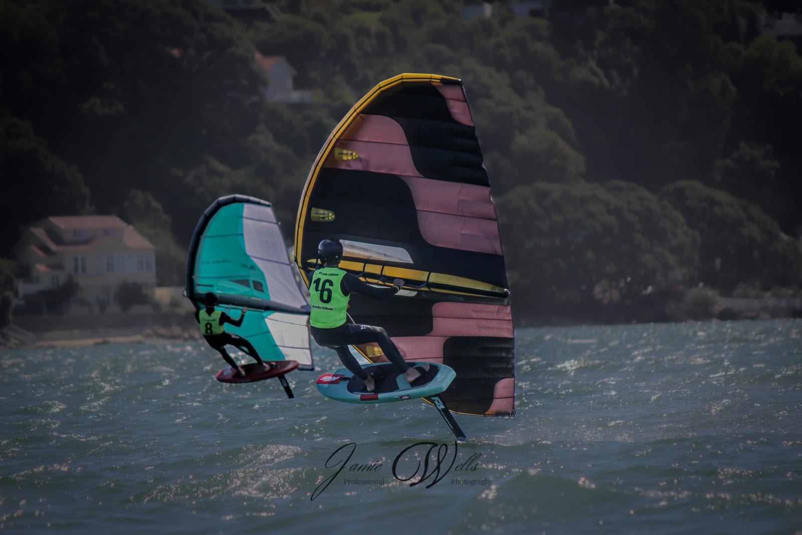 Gold Fleet 16 and 8 (Day 2 Photos)